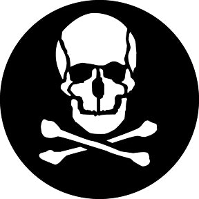 G343 Skull - Rosco GAM Standard Steel Gobo