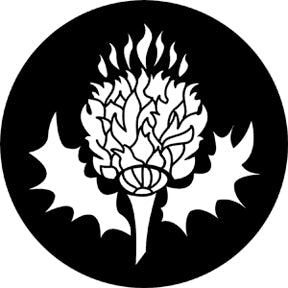 77676 Thistle Rosco Stainless Steel Gobo