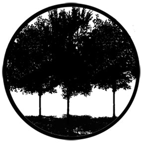 78431 Tree Silhouette 1 - Rosco Standard Steel Gobo