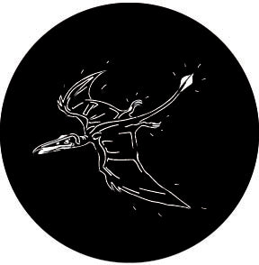 78627 Dino Bird Rosco Stainless Steel Gobo