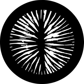 78708 Fissures Rosco Stainless Steel Gobo