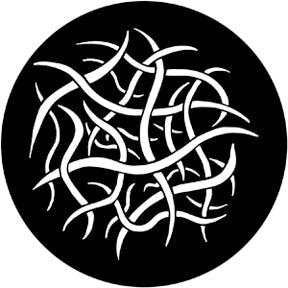 79074 Worms Rosco Stainless Steel Gobo