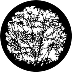 79106 Leafy Branches Rosco Stainless Steel Gobo