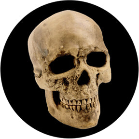86687 Yorick Skull - Rosco Colour Glass Gobo