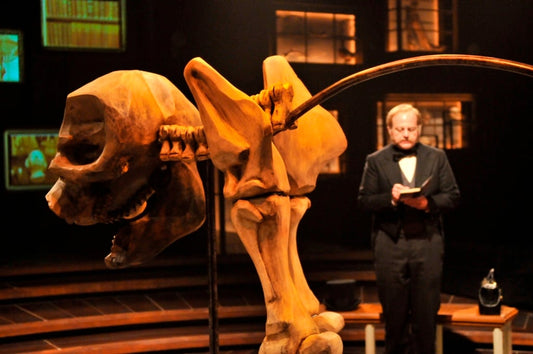 Carved foam mastodon skeleton coated in Rosco FoamCoat, finished and standing on stage