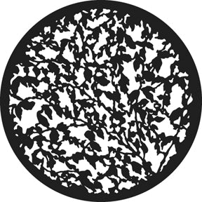 G294 Summer Leaves - Rosco Standard Steel Gobo