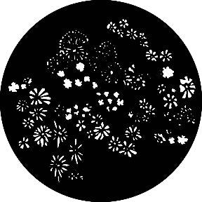 G296 Field - Rosco Standard Steel Gobo