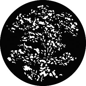 G304 Treetop - Rosco Standard Steel Gobo