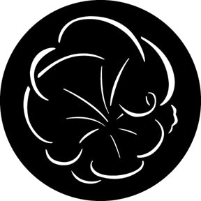 G347 Bam! - Rosco GAM Standard Steel Gobo