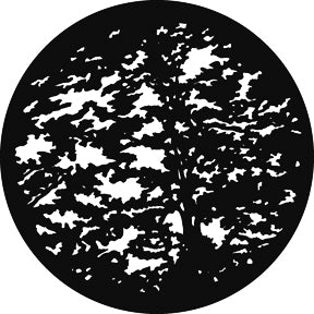 G545 Giant Trees - Rosco GAM Standard Steel Gobo