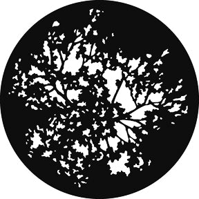 G551 Summer Branches - Rosco GAM Standard Steel Gobo