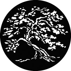 G584 Twisted Tree - Rosco Standard Steel Gobo