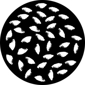 76511 Printed Shells  Rosco Stainless Steel Gobo