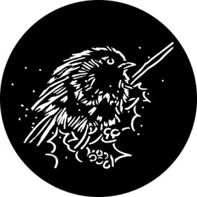 76535 Robin - Rosco Standard Steel Gobo