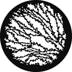 G769 Vines 1 - Rosco GAM Standard Steel Gobo