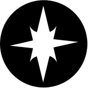 77573 Ping - Rosco Standard Steel Gobo