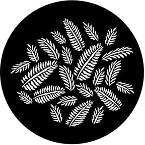 77593 Ferns  Rosco Stainless Steel Gobo