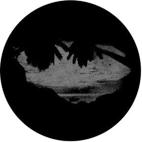 77609 Palm  Rosco Black & White Glass Gobo