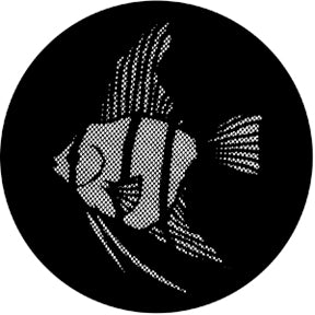 77612 Angelfish - Rosco Standard Steel Gobo