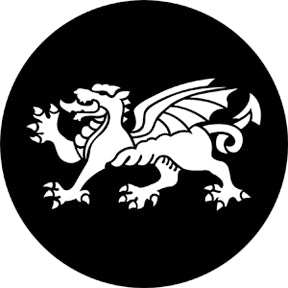 77671 Dragon - Rosco Standard Steel Gobo