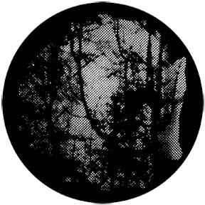 77840 Meshed Woodlands - Rosco Standard Steel Gobo