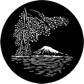 77946 Japan - Rosco Standard Steel Gobo