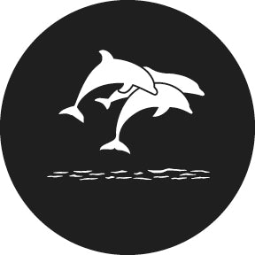 78633 Dolphins  Rosco Stainless Steel Gobo