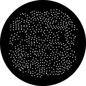 78741 Wrinkled  Rosco Stainless Steel Gobo