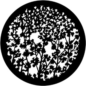 79108 Leafy Branches 3  Rosco Stainless Steel Gobo