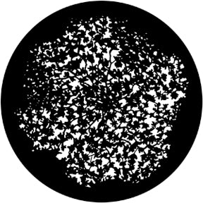 79117 Dense Leaves 3  Rosco Stainless Steel Gobo