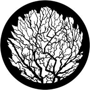 79119 Winter Tree 2  Rosco Stainless Steel Gobo