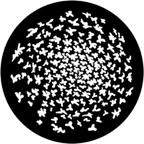 79200 Swirling Leaves  Rosco Stainless Steel Gobo