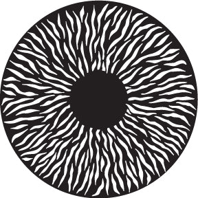79703 Radial Animation - Rosco Standard Steel Gobo