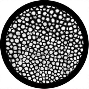 81126 Mitosis - Rosco Colour Glass Gobo