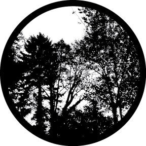 81212 Static Trees - Rosco Colour Glass Gobo