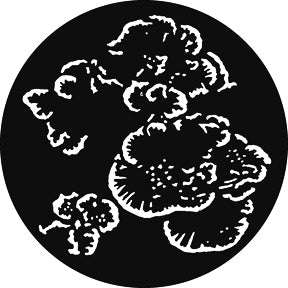 G821 Undersea Foliage 3 - Rosco GAM Standard Steel Gobo