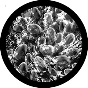 82201 Whirlpool - Rosco Colour Glass Gobo