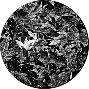 82732 Leaves Breakup - Rosco Colour Glass Gobo