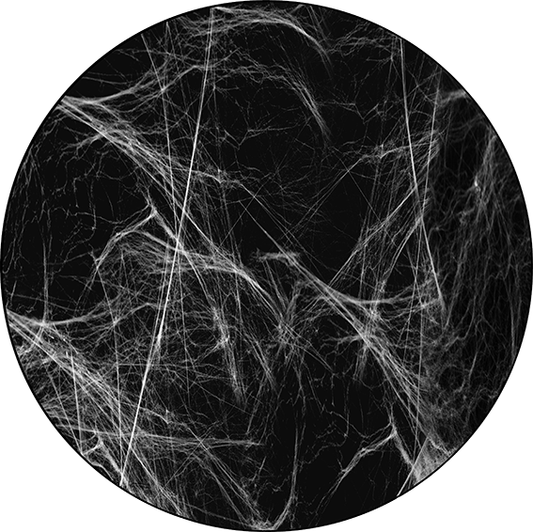 82925 Realistic Whispy Web 1 - Rosco Colour Glass Gobo