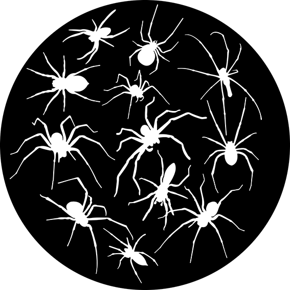 82937 Crawling Spiders - Rosco Colour Glass Gobo