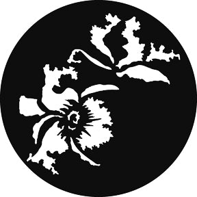 G838 Exotic Flowers - Rosco GAM Standard Steel Gobo