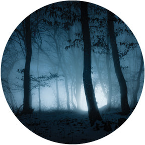 84435 Spooky Mist Woods - Rosco Colour Glass Gobo