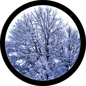 86684 Winter Solstice - Rosco Colour Glass Gobo