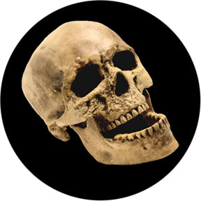 86686 Laughing Skull - Rosco Colour Glass Gobo