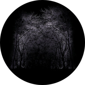 86698 Winter Arbor - Rosco Colour Glass Gobo