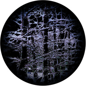 86699 Hibernate - Rosco Colour Glass Gobo