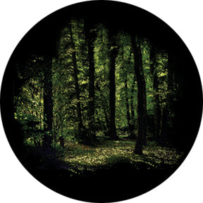 86701 Spring Glade - Rosco Colour Glass Gobo