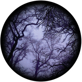 86712 Cloud Branches - Rosco Colour Glass Gobo