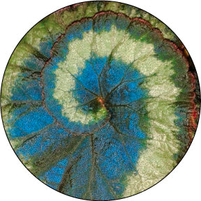 86777 Spiral Leaf - Rosco Colour Glass Gobo