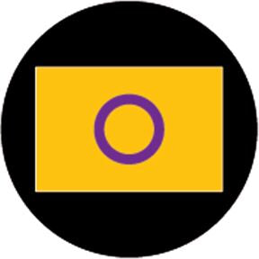 86783 Intersex Pride Flag - Rosco Colour Glass Gobo